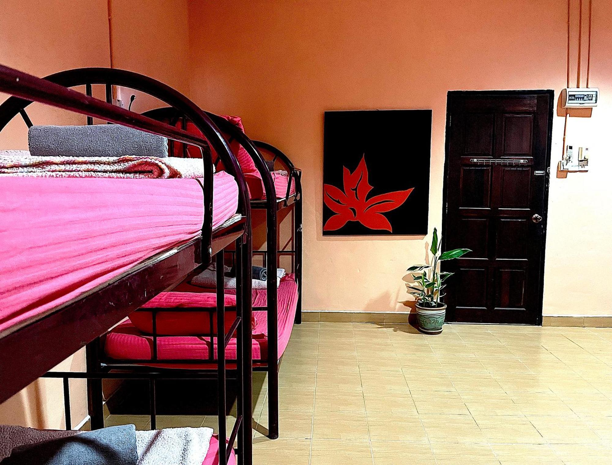 Home Sol Guesthouse Pantai Cenang  Dış mekan fotoğraf